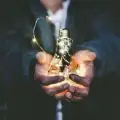 Entrepreneurship pitch competitions